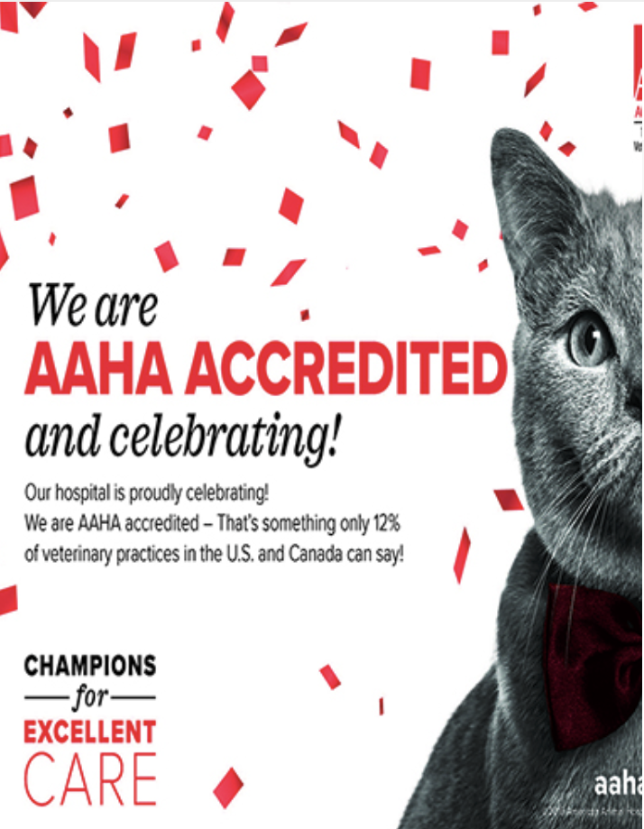 AAHA_Accreditation_card
