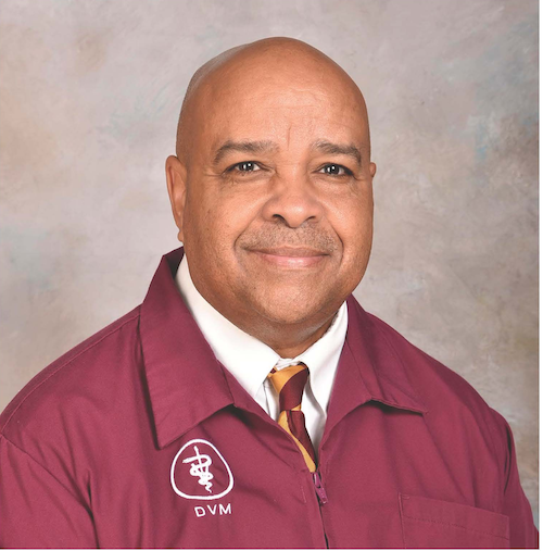 Dr. McKenzie
