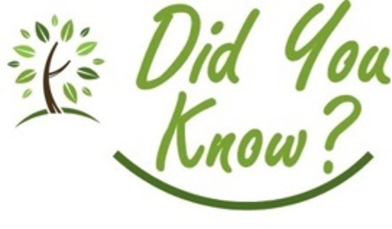 did you know