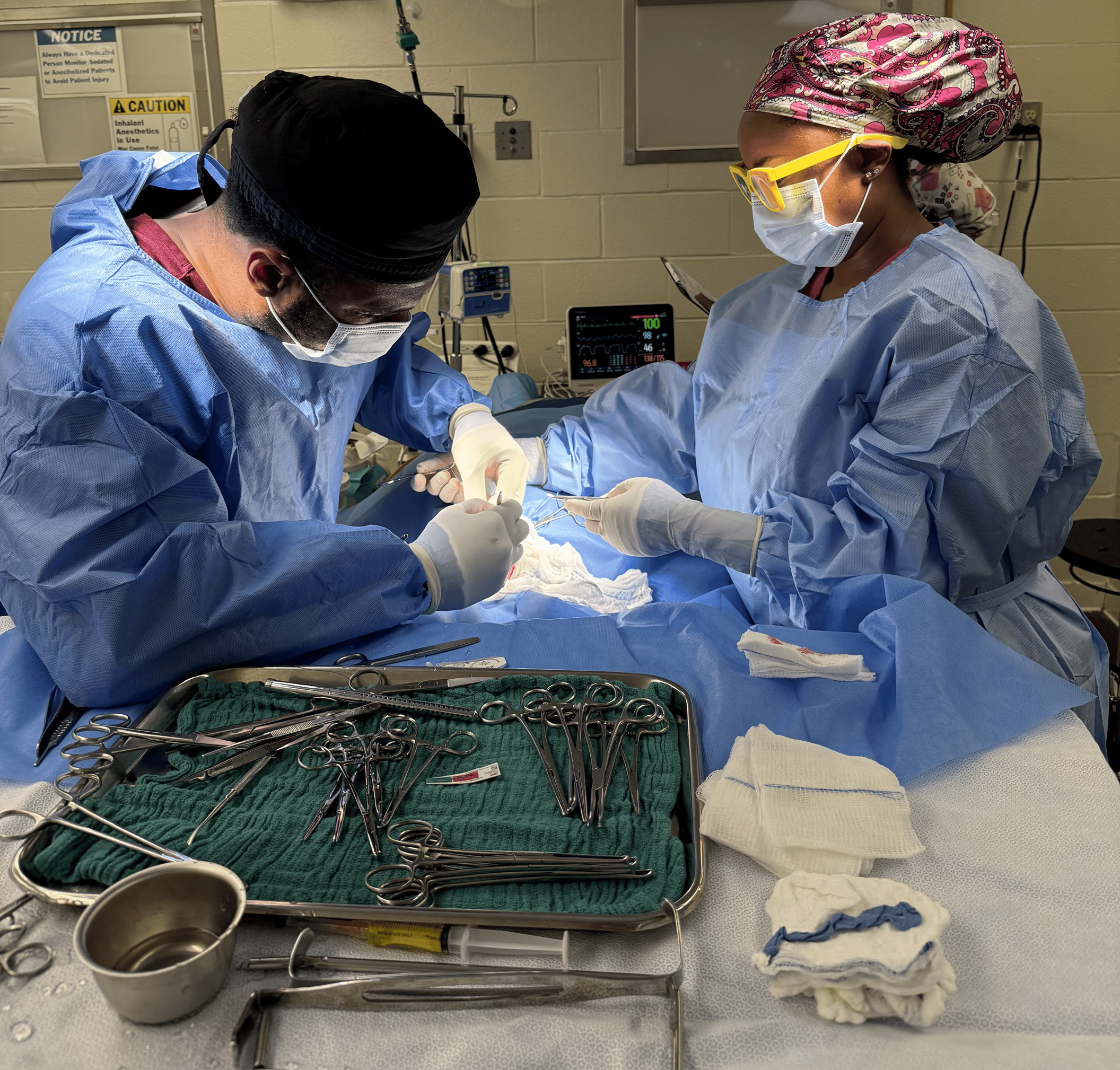 Small animal surgery