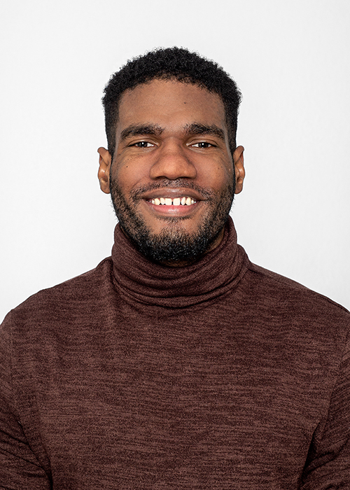 Dominique Hemmings